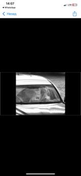 Ерофеев Андрей Валерьевич